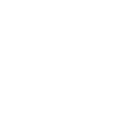 Playbooks AI Logo